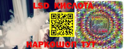 прущие грибы Будённовск