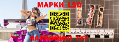 прущие грибы Будённовск
