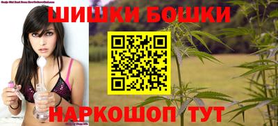стаф Бузулук