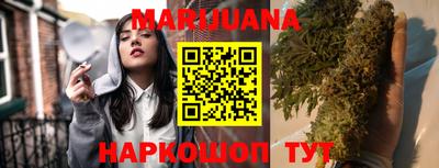 прущие грибы Будённовск