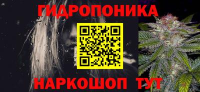 прущие грибы Будённовск
