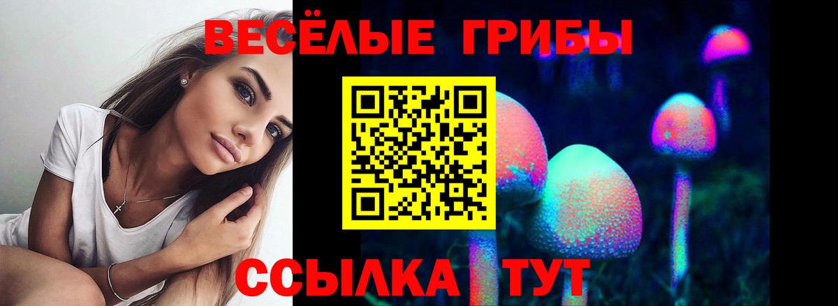 Псилоцибиновые грибы Cubensis Нальчик